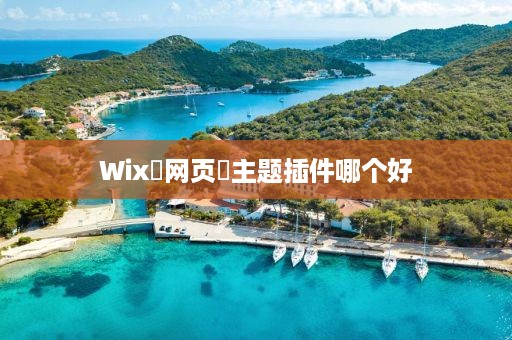 Wix‌网页‌主题插件哪个好